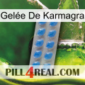 Gelée De Karmagra 22